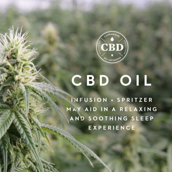 Malouf CBD Activedough Pillow - Image 2