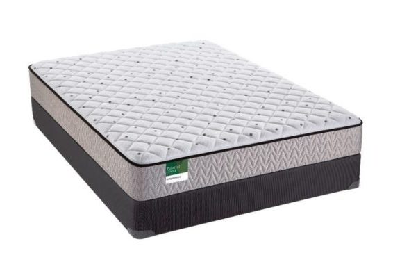 Sealy Mattress Royal Ascot Plush Queen Mattress Johnson Furniture Mattress